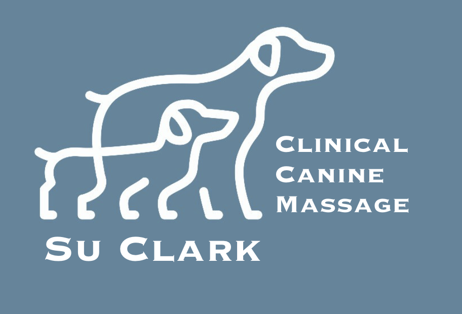 Su Clark Clinical Canine Massage